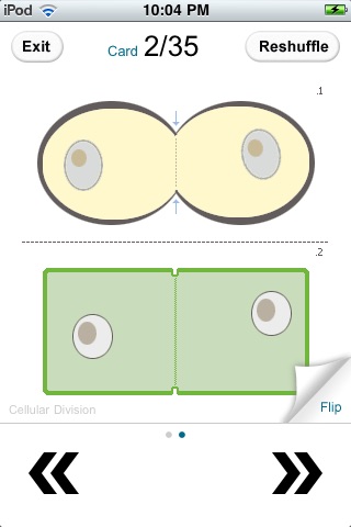 Biology Flashcards screenshot 4