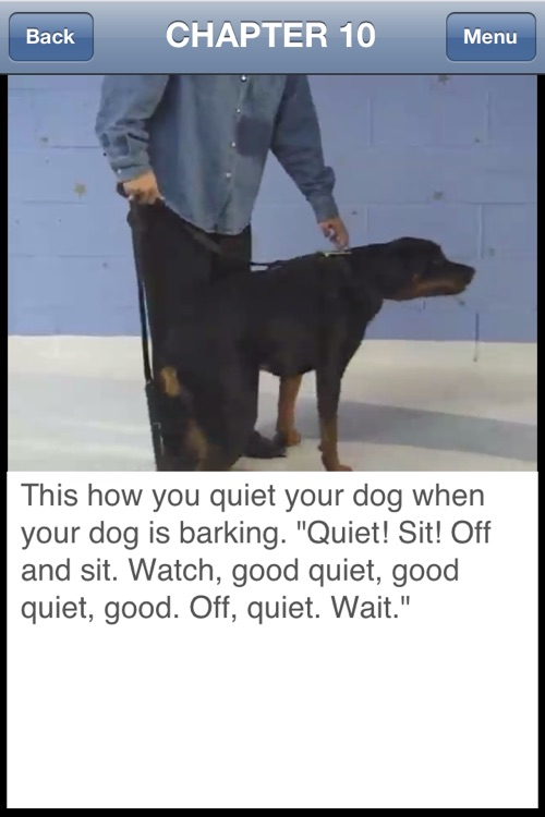 Dog Training screenshot-4