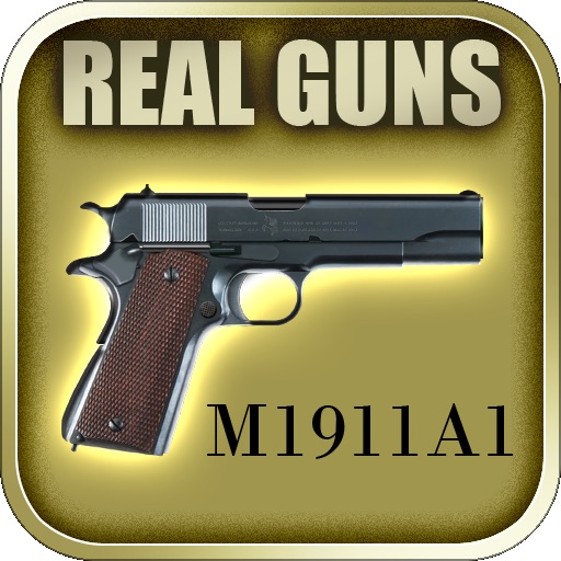 rgCOLT 45 M1911A1 : Real Guns