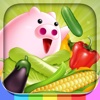 BabyStar : 猪宝学蔬菜