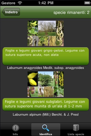 Guida agli alberi del Parco Nazionale delle Foreste Casentinesi screenshot 2