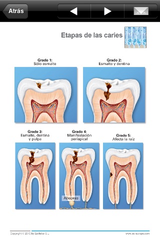 Miniatlas Dentistry screenshot 4