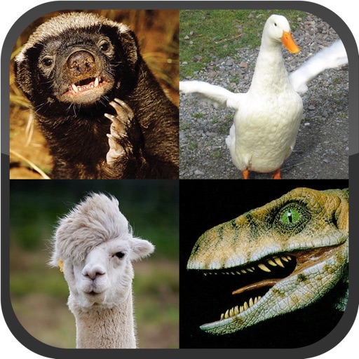 Llama or Duck or Honey Badger or Raptor? iOS App
