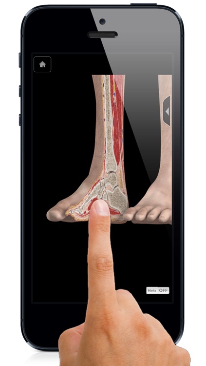 Ankle & Foot Pro III - iPhone Edition