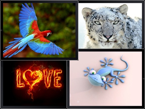 Cool Wallpapers & Backgrounds for iPad Lite screenshot 3