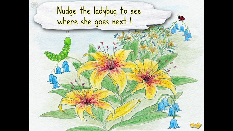 The Caterpillar and the Ladybug - an interactive children's story book HD screenshot-3