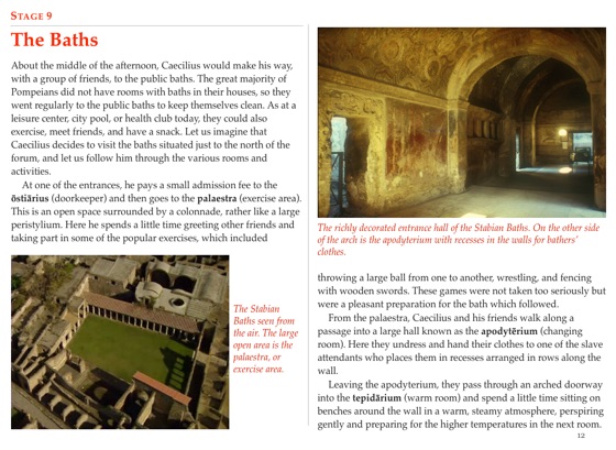 Cambridge latin course book 2 stage 20 transformations worksheets