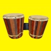 Bongo Drums