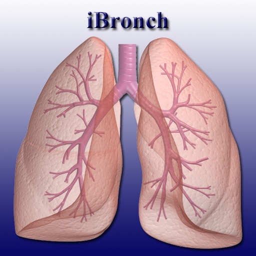 iBronch