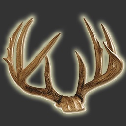 Deer Scoring & Field Aging Guide