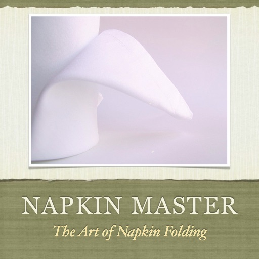 Napkin Master icon