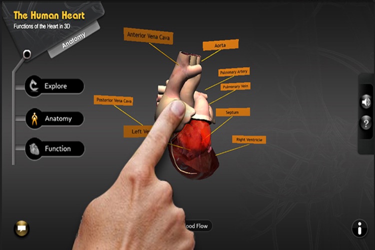 Explore the Heart in 3d