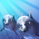 Dolphin Dodo - Free Fish Game, 海豚突突 - 自由的鱼游戏