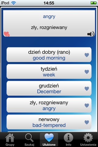 iRozmówki Angielski screenshot 4