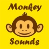 Monkey Sound