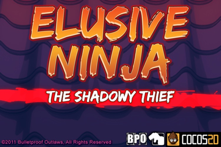 Elusive Ninja: The Shadowy Thief