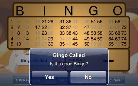 Bingo Caller screenshot 2
