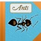 Explore the amazing world of the ants