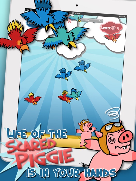 Attacking Birds vs Scared Piggies HD Free