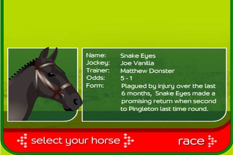 Horse Racing 3D - Stay The Distance! screenshot 2