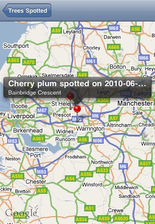 Tree Identifier screenshot-4