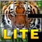 Animal Puzzle Lite (Play & Learn)