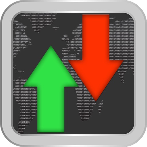 Licznik Transferu Danych ( Data Usage )