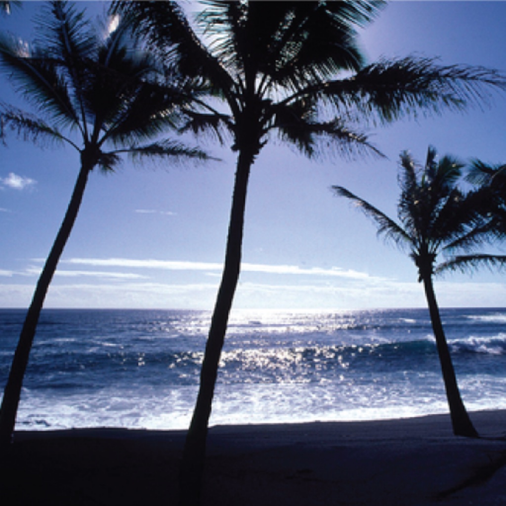 Hawaii's Big Island: Best Beaches icon