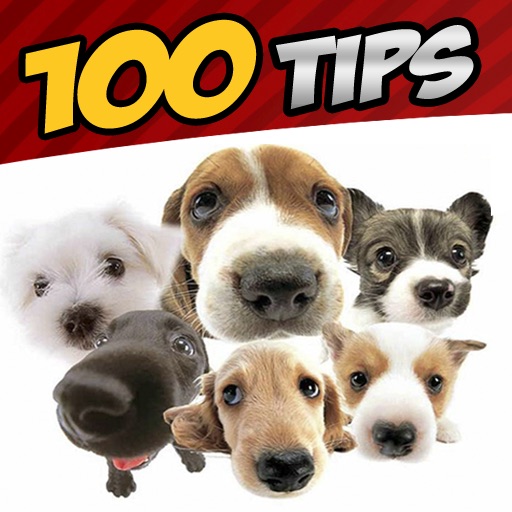100 Dog Training Tips Book icon