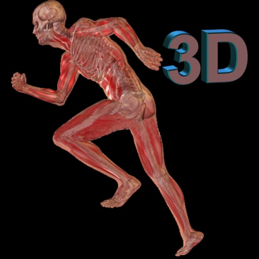 Human Body 3D for iPad icon