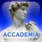 The application, developed by Giunti Editore in cooperation with the Soprintendenza Speciale per il Polo Museale Fiorentino, is the official guide to the Galleria dell'Accademia