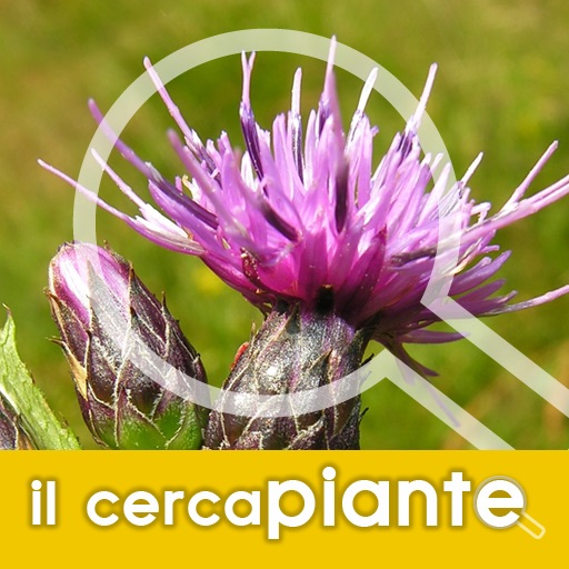 Plant Finder - Images, scientific names, common names of plants now for iPad Icon