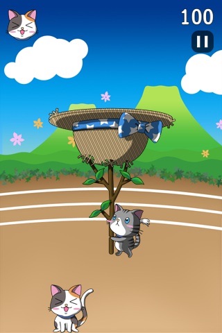 Cats Toss screenshot 3