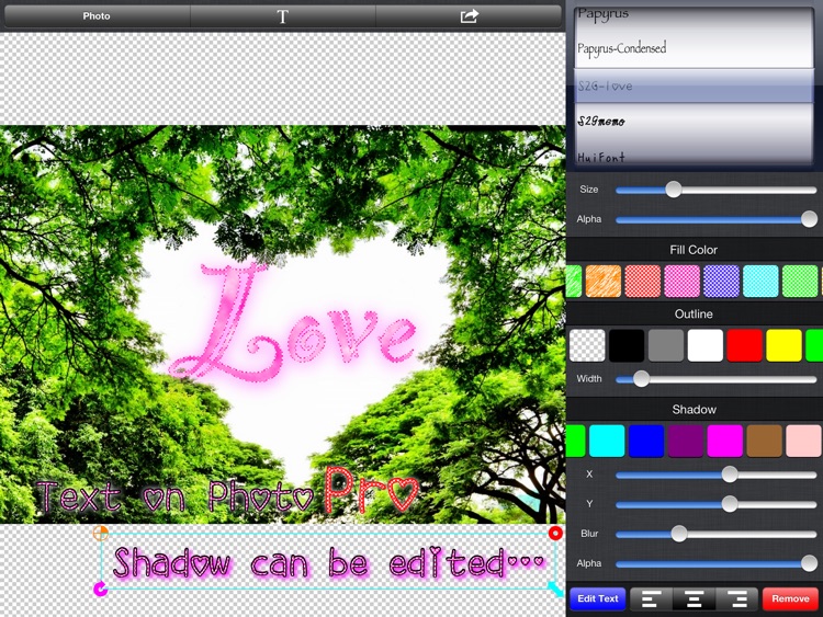 Text on Photo Pro for iPad