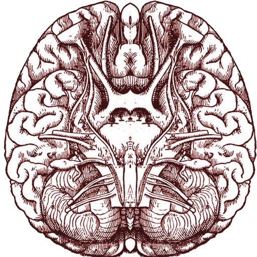 Brain Fuel Icon