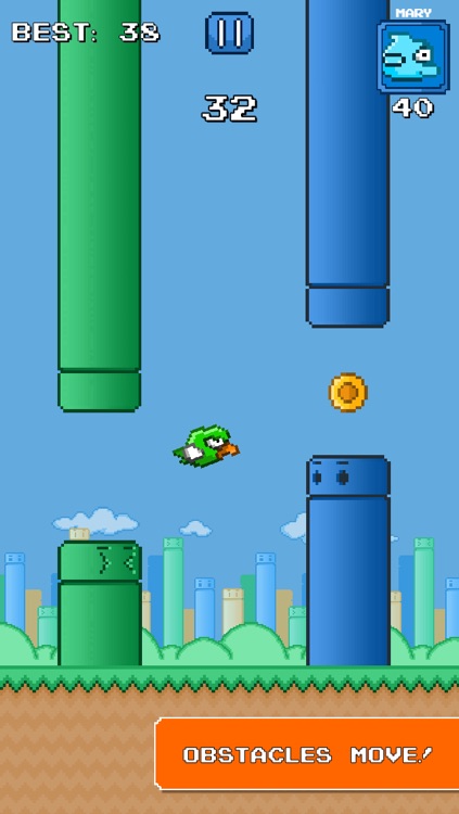 Flappy Buddies: A tiny bird and its fish friends adventure