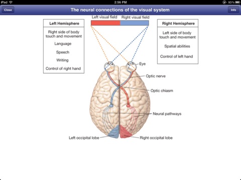 Class Preparation screenshot 3