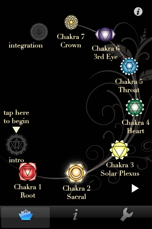 Chakra Wisdom
