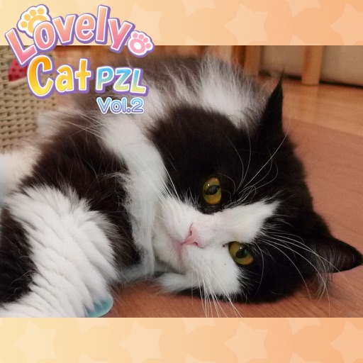 Lovely Cat Puz Vol.2 iOS App