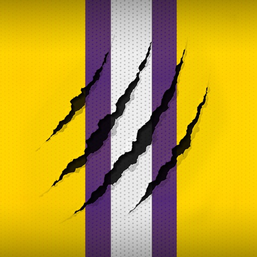 GeauxTigers! LSU Football!