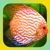 Tropical Fish Encyclopedia