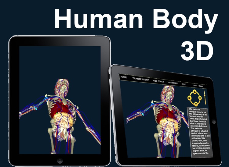 Human Body 3D for iPad