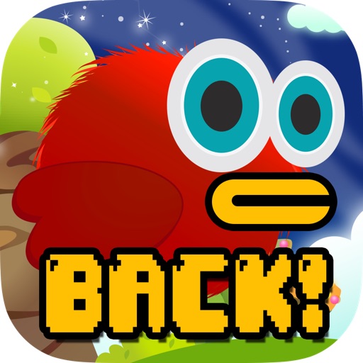 Dumb Bird iOS App