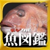 デジタル魚図鑑1000
