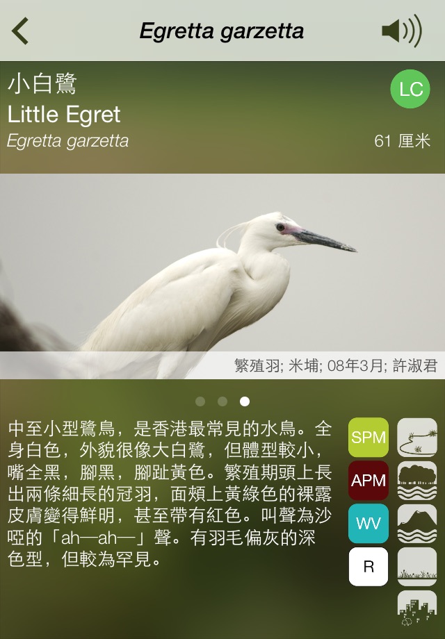 HKcBirds: Common Birds of HK screenshot 4