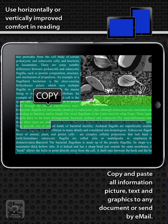 Bacteria Encyclopedia screenshot-3