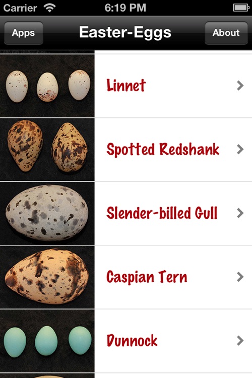 Bird Egg Identification Guide