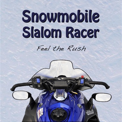 Snowmobile Slalom Racer HD