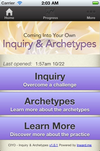 CIYO - Inquiry and Archetypes screenshot 2