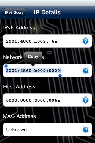IPv6 Query screenshot 4